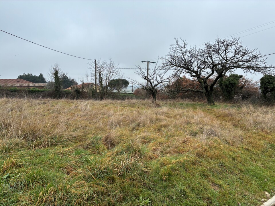 TERRAIN LES COTES D AREY