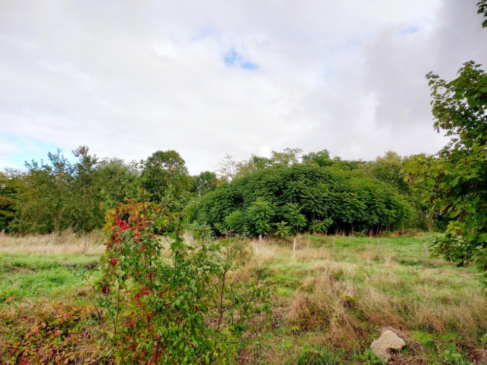 TERRAIN BELIGNEUX
