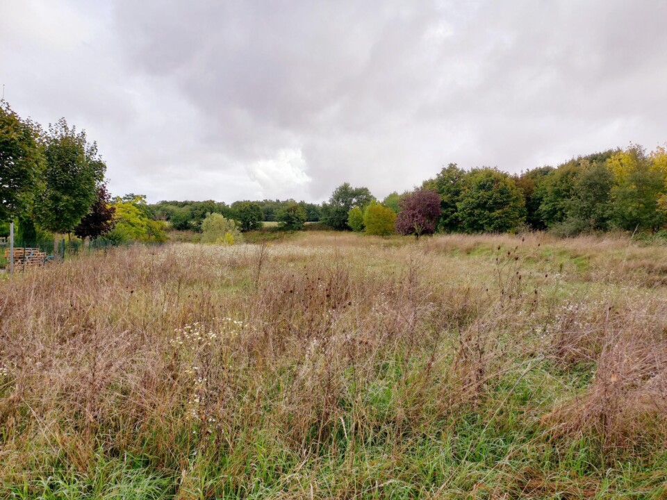 TERRAIN BELIGNEUX